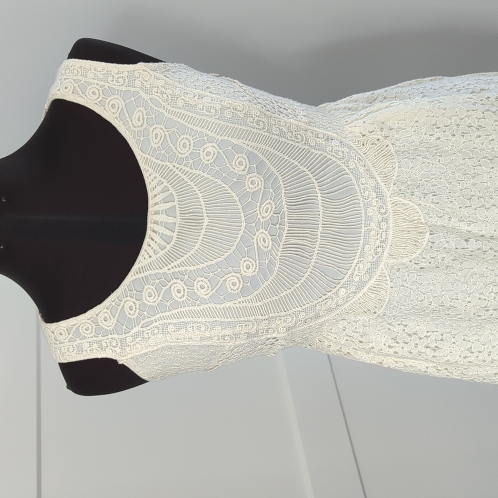 Loft lace dress